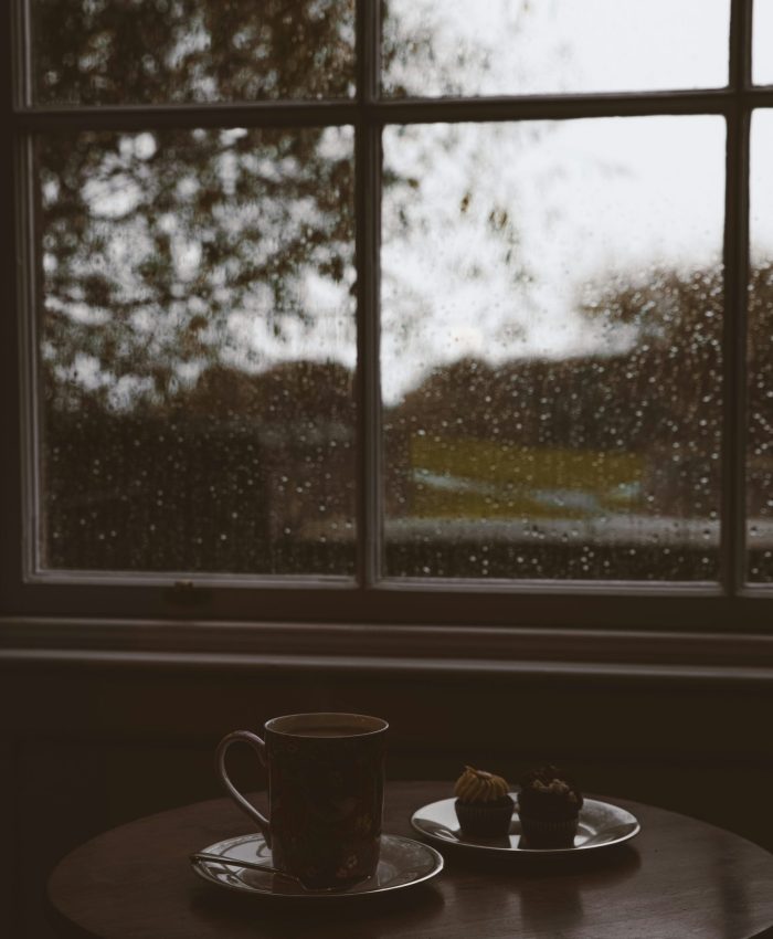 Viver alinhada com a Natureza