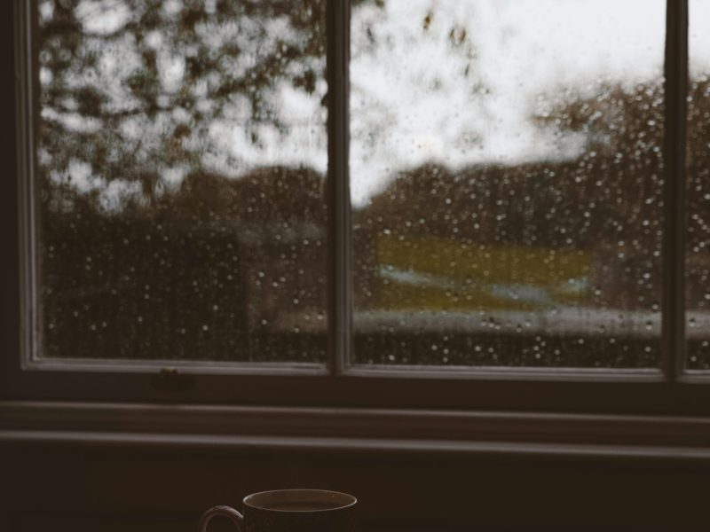 Viver alinhada com a Natureza