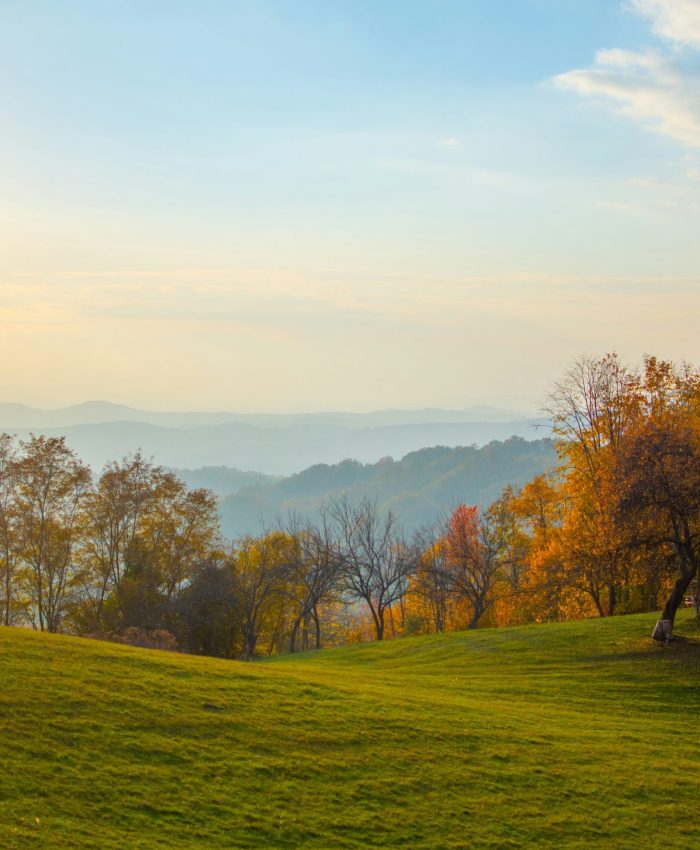 A Magia dos Glimmers