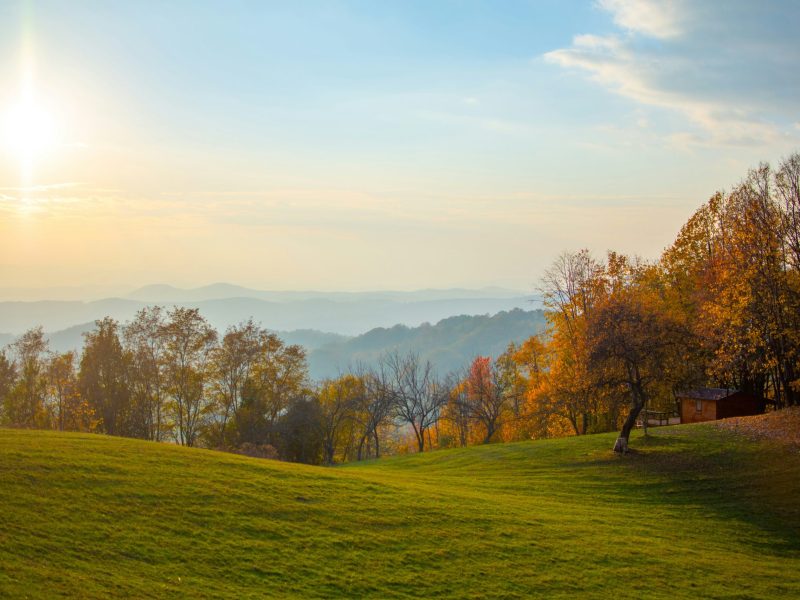 A Magia dos Glimmers